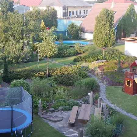 Pohanka *